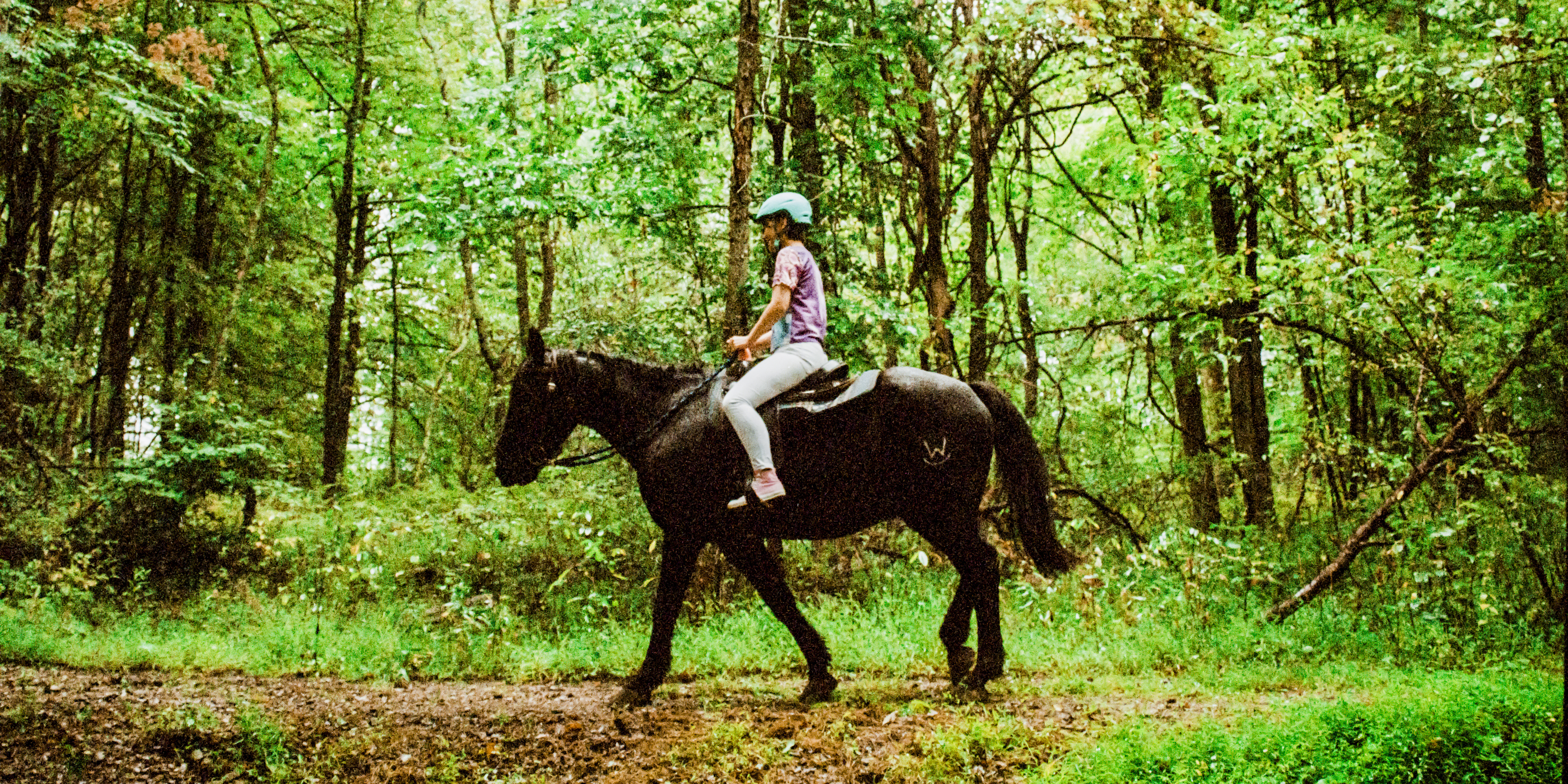 kid on a horse